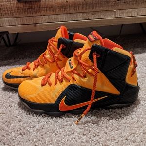 Lebron James XII